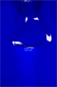 Гель-лак Lakres Simple Dimple 3, 9 мл(961) 08337