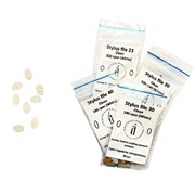 ATIS Сменный файл стилус 23, внутренний, 240 грит, белые, 60 шт. 2086135108062