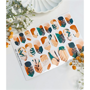 T256 ПЛЕНКИ 2000000024219