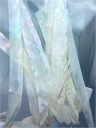 Дизайн для ногтей Ракушечник белый 2080013111991