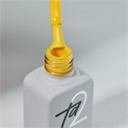 Гель-лак Ta2 / COLOR GEL POLISH №060 4631161308054