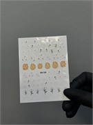 Стикеры Цветы DD-726 2000000015668