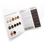 Палитра цветов BrowXenna, рус, 1 шт 2097067597121