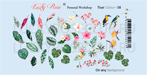 LUCKY ROSE True Colour - 58 4603300350071