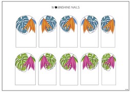 Слайдер MoonShine Монстера 2010038224154