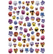 Слайдер-дизайн Crazy Shine Nails mini: Анютины Глазки 4607790910104