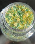 Сухоцветы Korean Flowers, №05 2000000023670