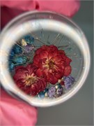 Набор сухоцветов № 17 2080213321534