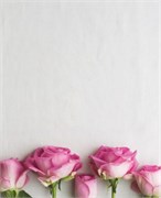 Фотофон  fn110 2010199054263