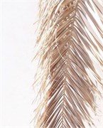 Фотофон  fn112 2005120093701