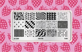 -30% Пластина для стемпинга Go! Stamp 269 Crazy Mix 2546131605854