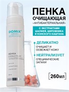 DGP Пенка очищающая антибактериальная 260 мл 4610091409826