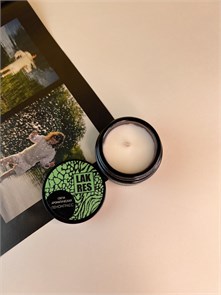 Ароматическая Спа-свеча, Лемонграсс 30 мл 110040