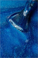 Гель-лак Lakres Marine Cat eye 4, 5 мл 2000000068084