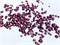 Mix sizes 127 Amethyst - 127 "Аметист" микс размеров(300) 2000007193574