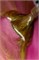 Гель-лак Lakres Prunes Cat Eye, 5 ml 2000000056524