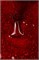 Гель-лак Lakres, Xmas 1, 9 ml 2000000033891