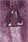 Гель-лак Lakres "Знак зодика" Близнецы, 5 ml 2000000051529