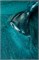 Гель-лак Lakres Marine Cat eye 2, 5 мл 2000000068060