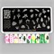 Пластина Swanky Stamping 049 4603745691647