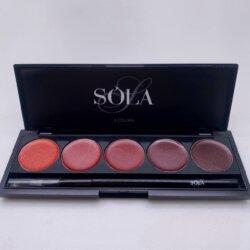 Гель-лак Palette 10 (Red Shine) SOLAlove, 25мл