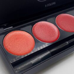 Гель-лак Palette 10 (Red Shine) SOLAlove, 25мл