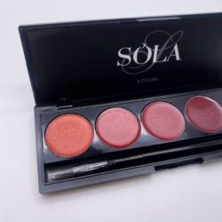 Гель-лак Palette 10 (Red Shine) SOLAlove, 25мл