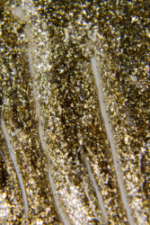 Гель краска Platina Gold , 5 г