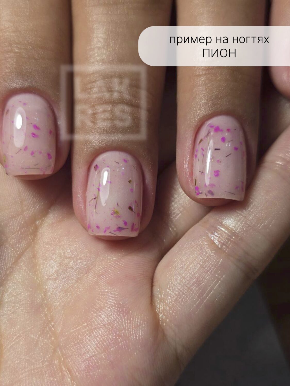 Гель Lakres Modeling Gel Flora Пион, 15 мл