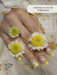 Гель Lakres Modeling Gel Flora Ромашка, 15 мл