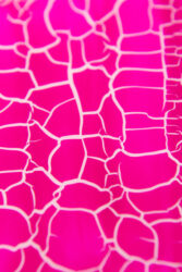 Лак кракелюр Lakres №4 розовый , 10 мл