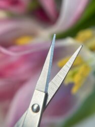 Ножницы универсальные косметические