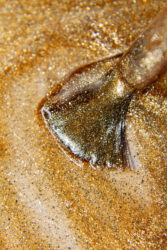 Гель-лак Lakres After party  Cat eye 5, 5 мл