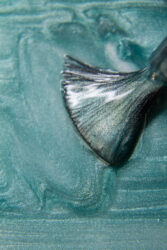 Гель-лак Lakres Angel Cat Eye 14, 5 ml