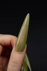 Гель-лак Lakres Guava Cat Eye, 5 ml