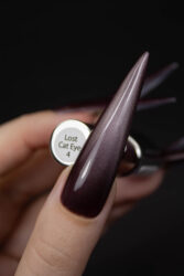 Гель-лак Lakres Lost Cat Eye 04, 5 ml