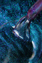 Гель-лак Lakres SPACE Cat 2, 5 мл