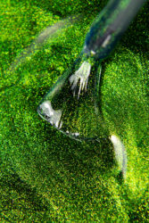 Гель-лак Lakres SPACE Cat 5, 5 мл