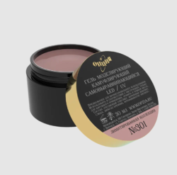 Камуфлирующий самовыравнивающийся гель лимитированный Тон №301 30 мл