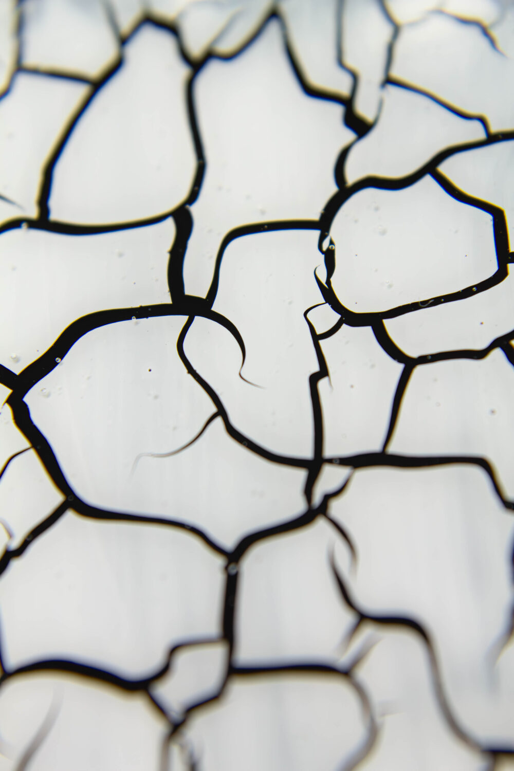 Лак кракелюр Lakres №1 белый , 10 мл