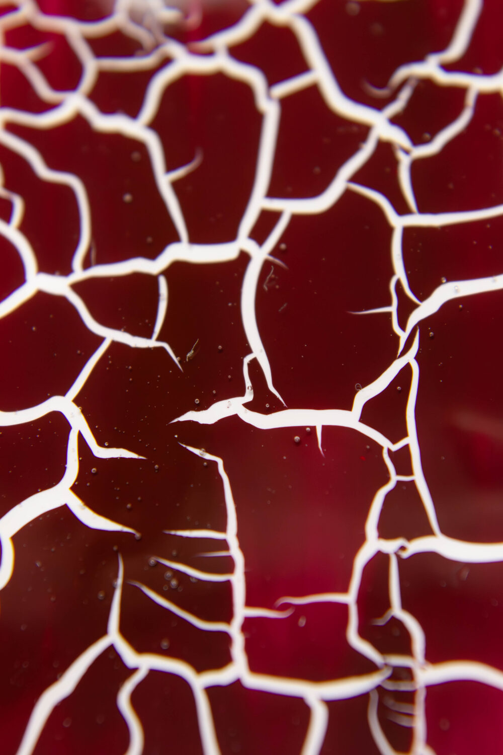 Лак кракелюр Lakres №7 коричневый , 10 мл