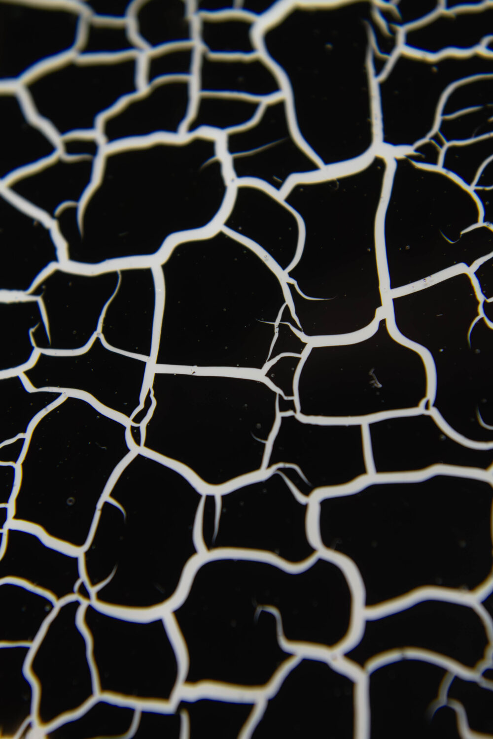 Лак кракелюр Lakres №8 черный , 10 мл