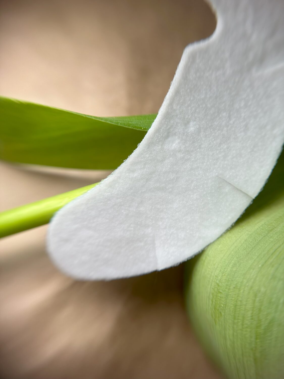 Патчи под глаза с вырезом для наращивания и окрашивания ресниц 1 пара