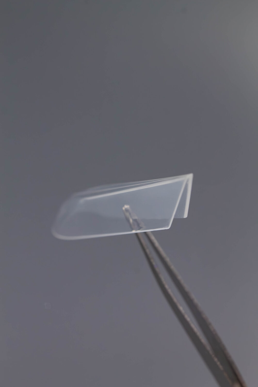 Верхние формы Lakres  «Крези Вайб Бридж»