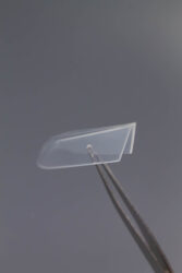 Верхние формы Lakres  «Крези Вайб Бридж»