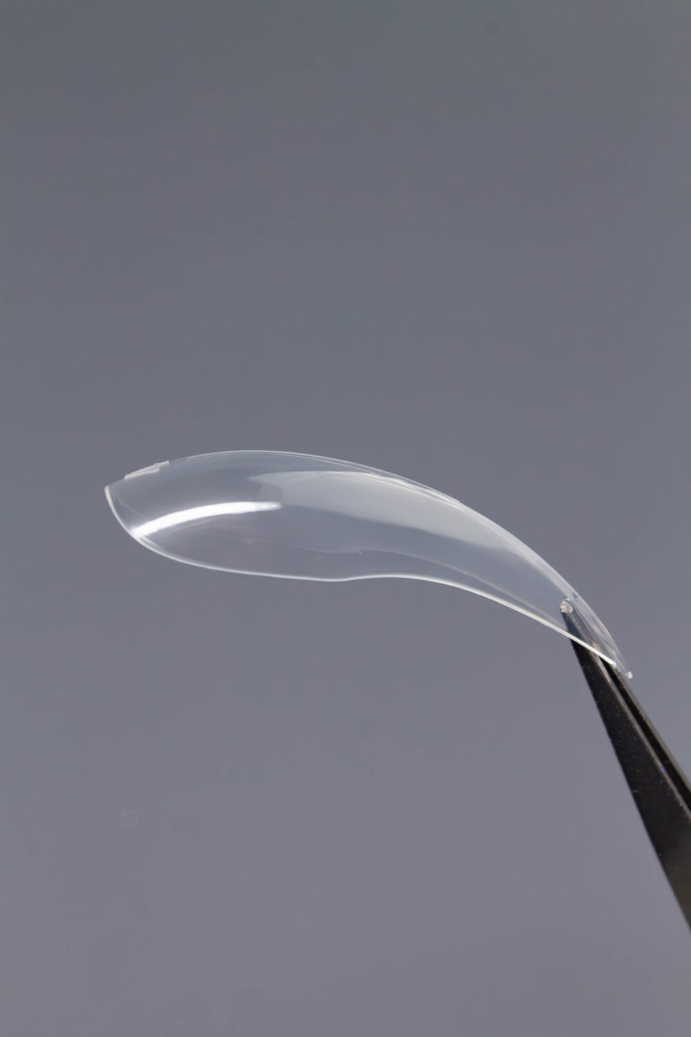 Верхние формы Lakres «Крези Вайб Коготь»