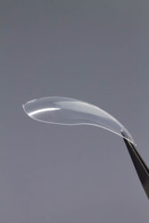 Верхние формы Lakres  «Крези Вайб Коготь»