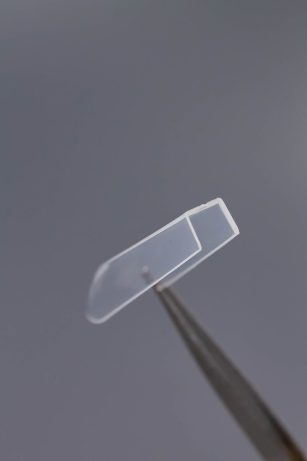 Верхние формы Lakres  «Крези Вайб Куб»