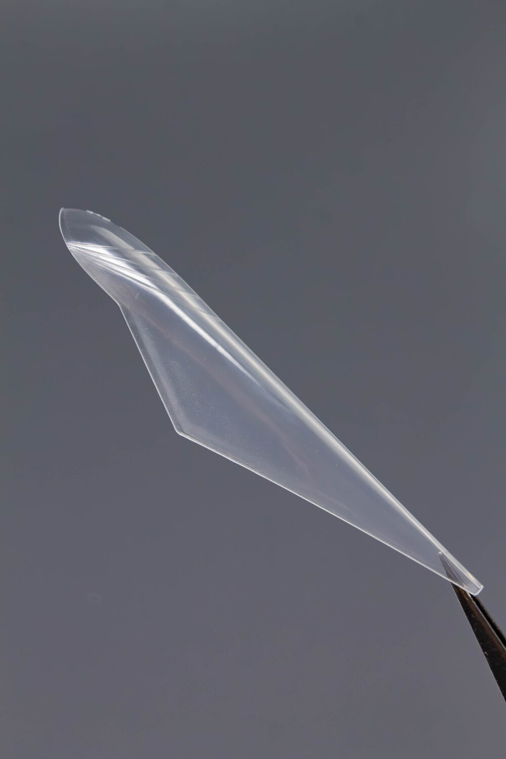 Верхние формы Lakres  «Крези Вайб Разор»